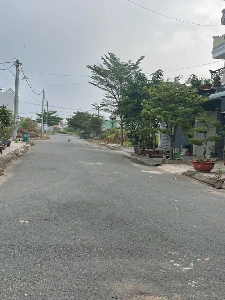 Lô đất thổ cư 120m² xã Mỹ Hạnh, Đức Hòa chỉ 1.15 tỷ - Cơ hội đầu tư tuyệt vời!