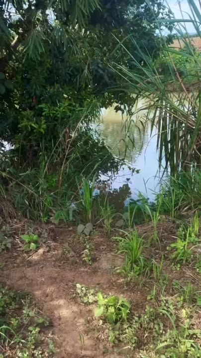 Đất rẫy Đắk Sơ Mei 15,000m² giá 650 triệu - Đất đỏ, ôm suối lớn