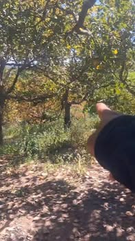 Đất kinh doanh 2ha tại Ia Dom, Đức Cơ, Gia Lai - Chuyển đổi cây trồng linh hoạt!