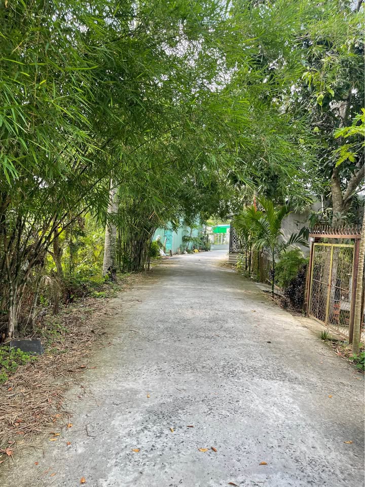 Đất nền mặt tiền Rạch Miễu Ông, 300m² giá 1.6 tỷ - Cơ hội đầu tư tuyệt vời!