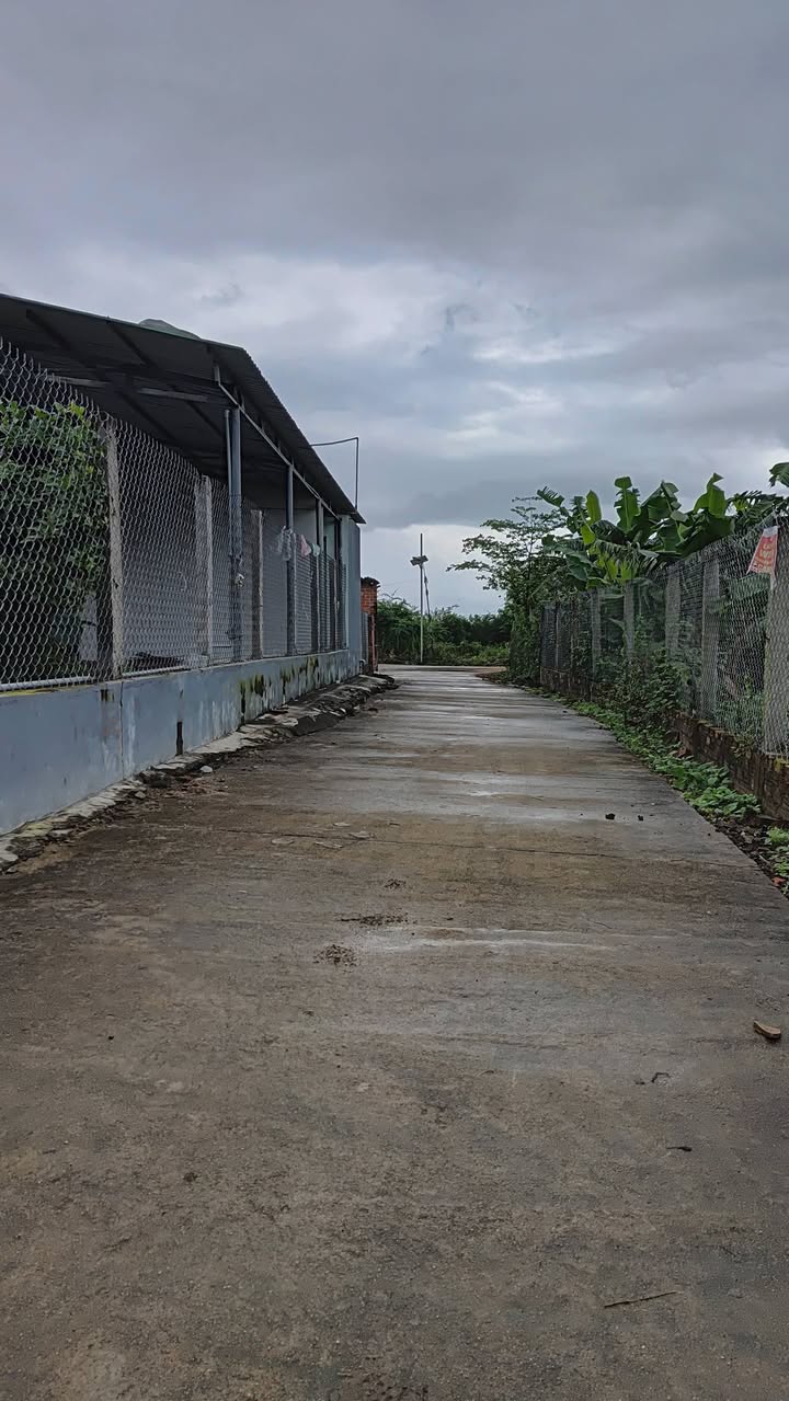 Đất liền kề Hòa Phong Nhơn Mỹ 110m² giá thỏa thuận - Pháp lý hoàn chỉnh!