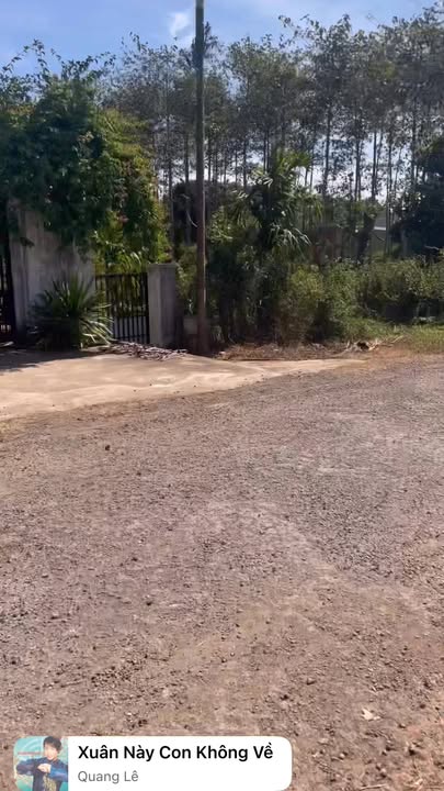 Đất thổ cư mặt đường Nguyễn Chí Thanh, Chư Sê 3575m² - Giá chính chủ 960 triệu!