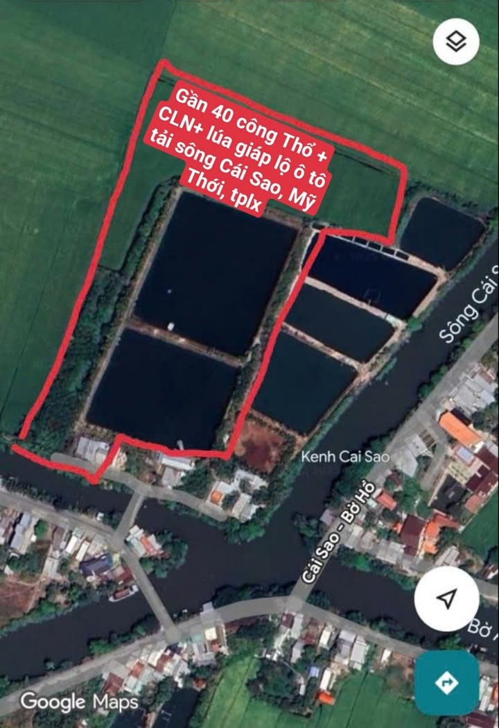 Farm 39.96ha tại Mỹ Thới, An Giang - Đầu tư sinh lời với giá chỉ 15.21 tỷ