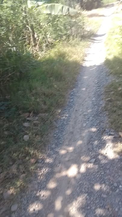 Đất lúa 3 công tại xã Mỹ Trung, Tiền Giang, giá 1.11 tỷ - Đầu tư sinh lời hấp dẫn!