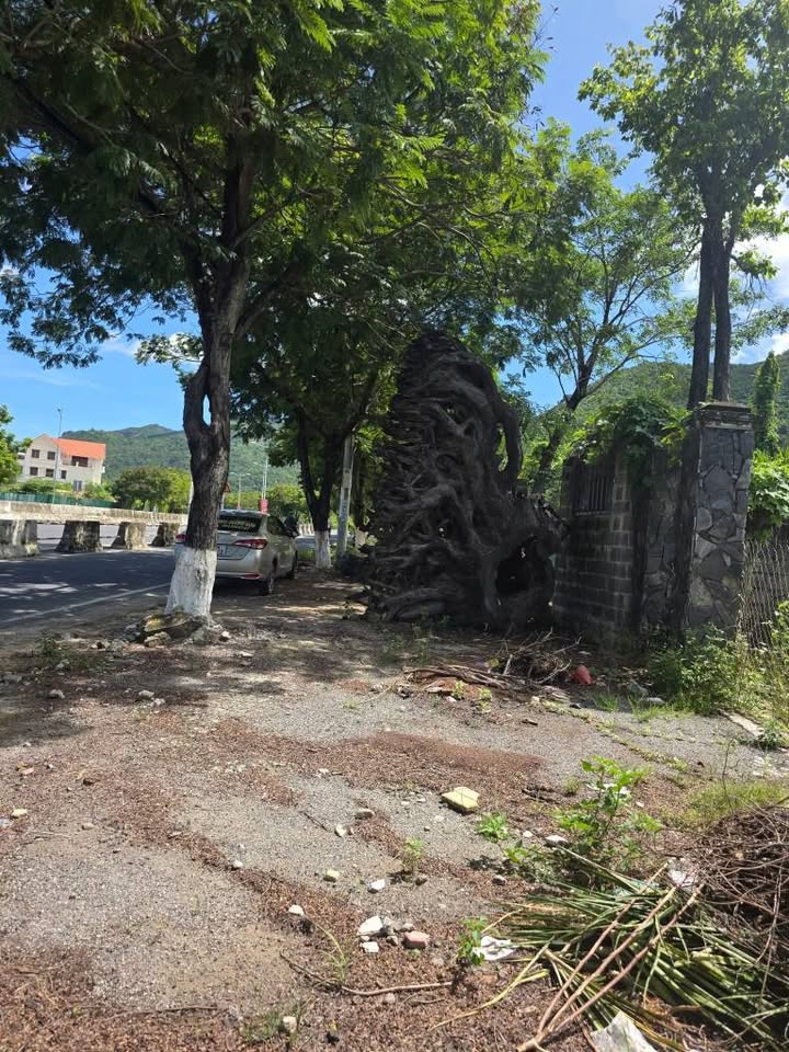 Lô đất mặt phố Nguyễn Tất Thành, Nha Trang 730m² giá 18 tỷ - Cơ hội đầu tư lý tưởng!