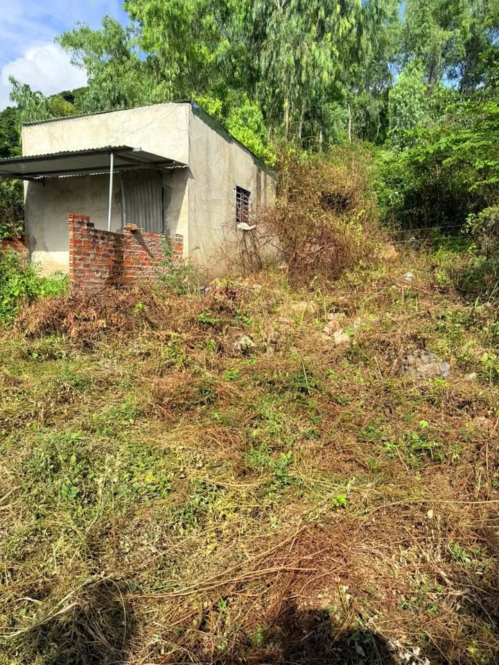 Đất Vĩnh Thạnh Nha Trang 101.6m² giá 460 triệu - Bán gấp, cách biển chỉ 3km!