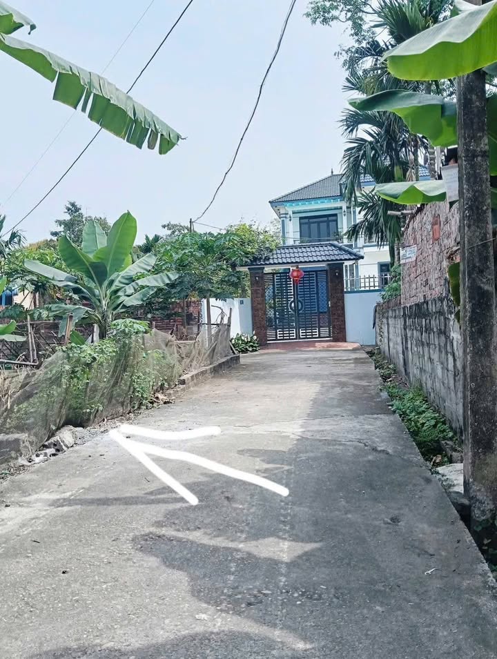 Đất nền Võng Xuyên, Phúc Thọ 60m² giá 1 tỷ - Đầu tư sinh lời ngay!