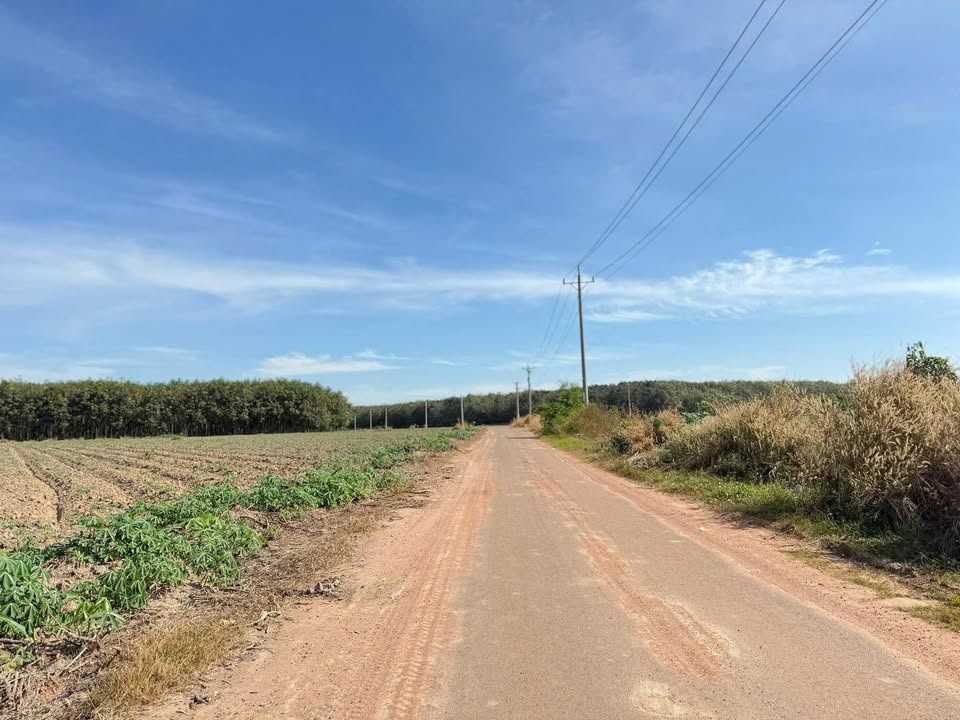 Bán kho xưởng 3400m² tại Nha Bích, Chơn Thành - Giá 1.3 tỷ VND hấp dẫn!