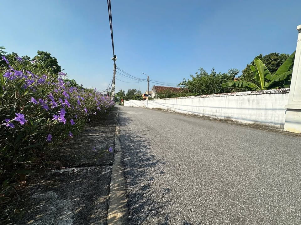 Lô đất chính chủ 84m² tại Thanh Vân, Tam Dương – Giá chỉ 1 tỷ!