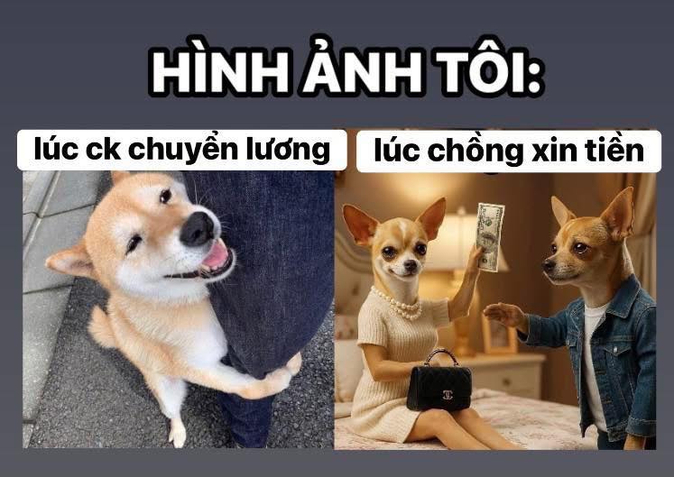 Đất nền Tam Hiệp Núi Thành 200m² giá 2.8 tỷ - Lô góc đẹp, chớp ngay cơ hội!