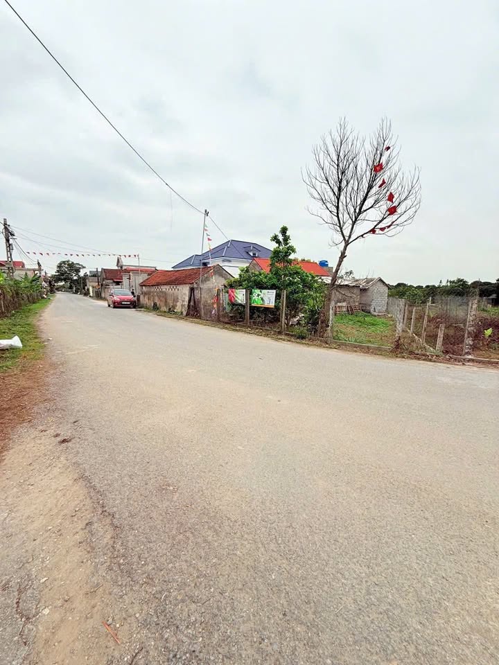 Đất nền kinh doanh tại Tam Đa, Phù Cừ 120m² giá 1.4 tỷ - Cơ hội đầu tư tuyệt vời!