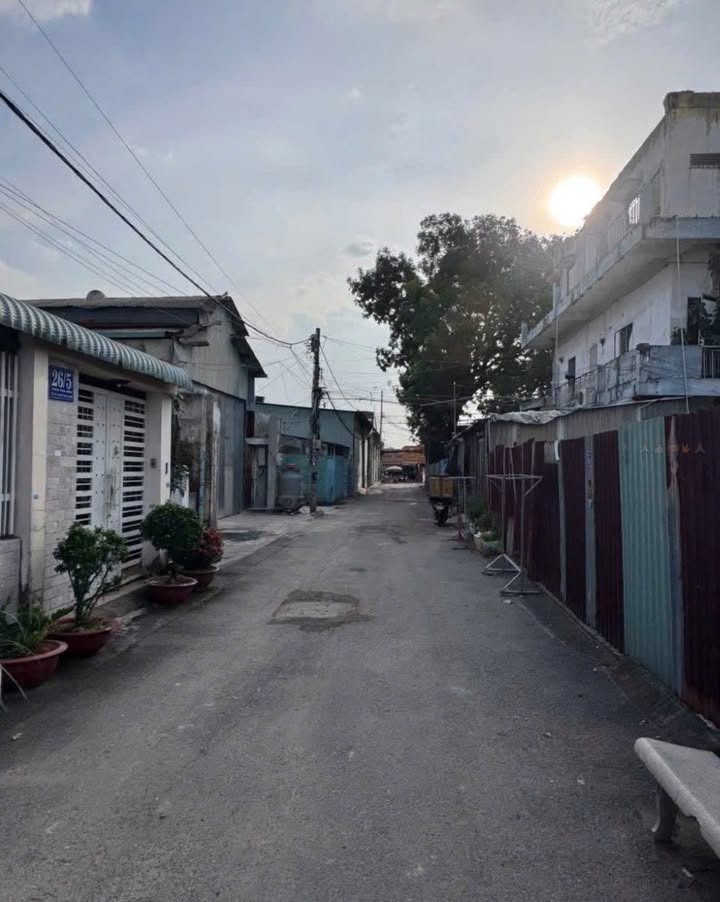 Nhà mặt tiền đường Đinh Đức Thiện, Bình Chánh 120m² giá 650 triệu - Chính chủ bán gấp!