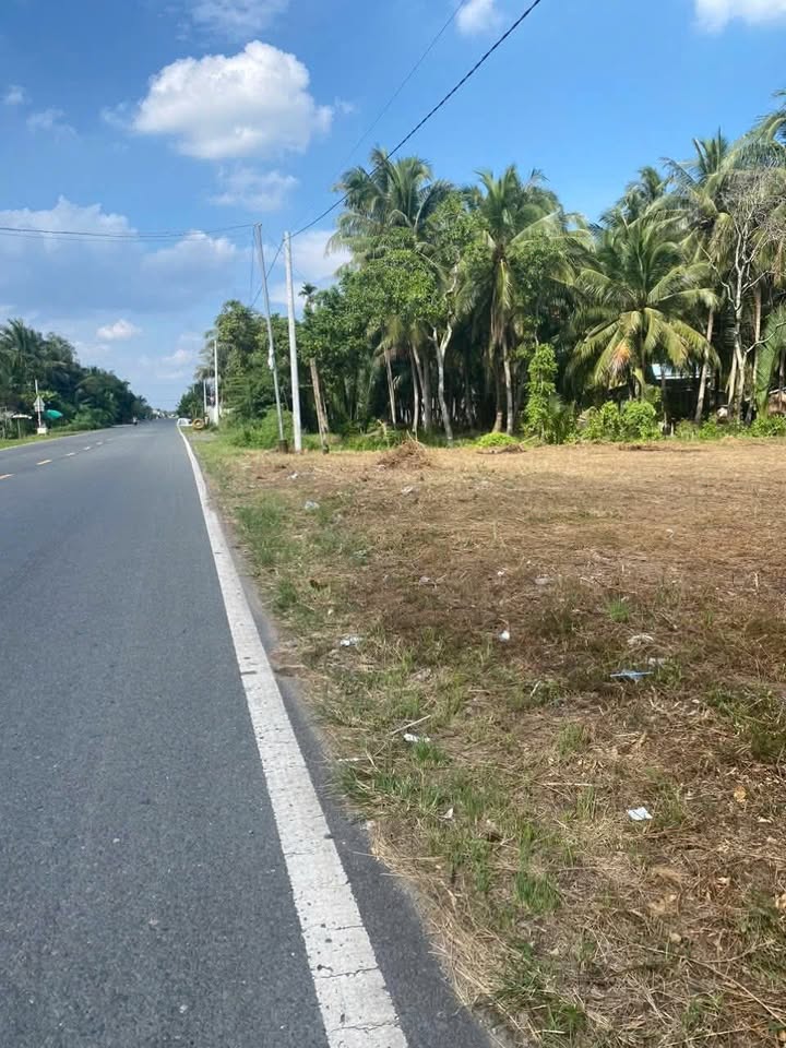 Đất nền Tân Hội, Mỏ Cày Nam 3600m² giá 3,8 triệu/m² - Đầu tư sinh lời!