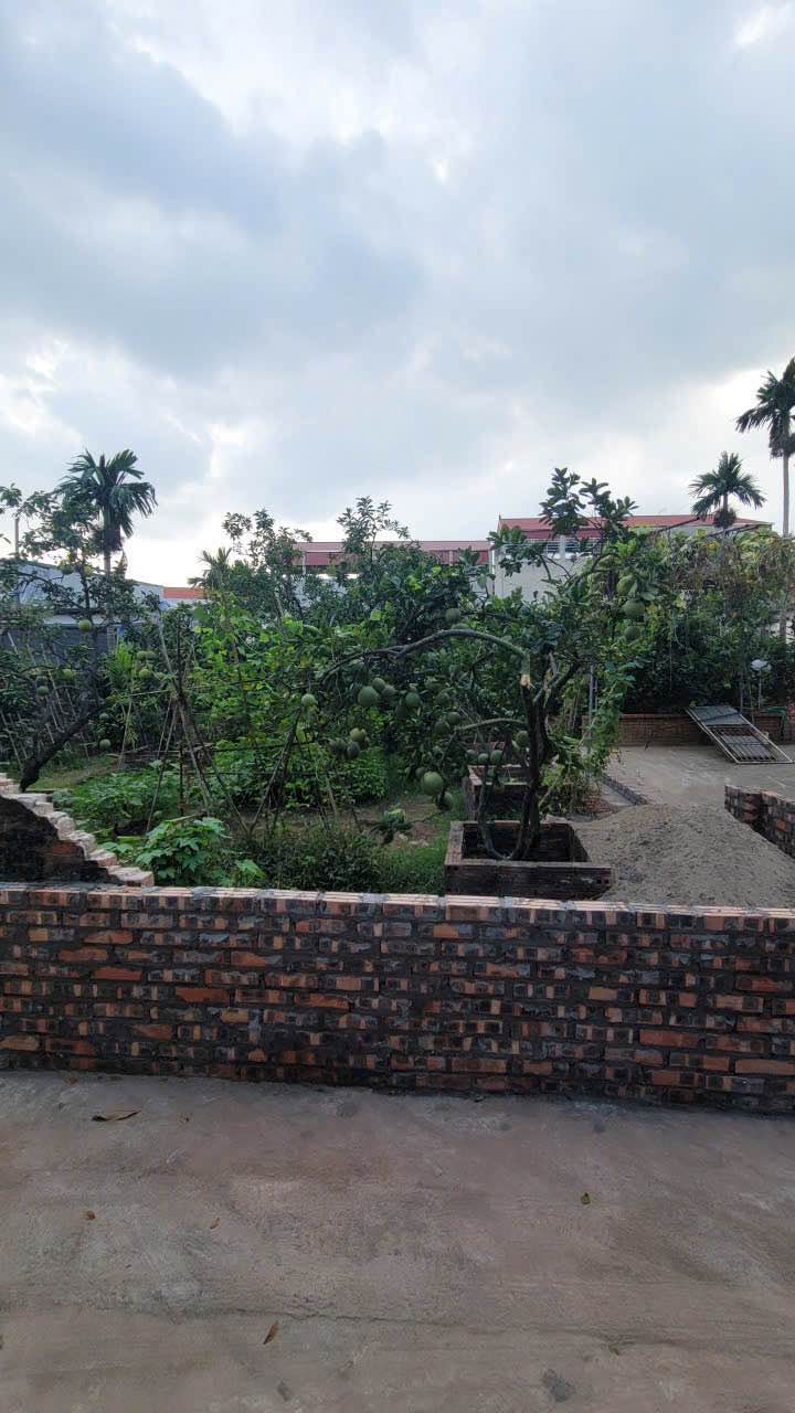 Đất nền Thôn Tráng Việt, xã Mê Linh 84m² - Sổ đỏ chính chủ, giá chỉ 3.444 tỷ!