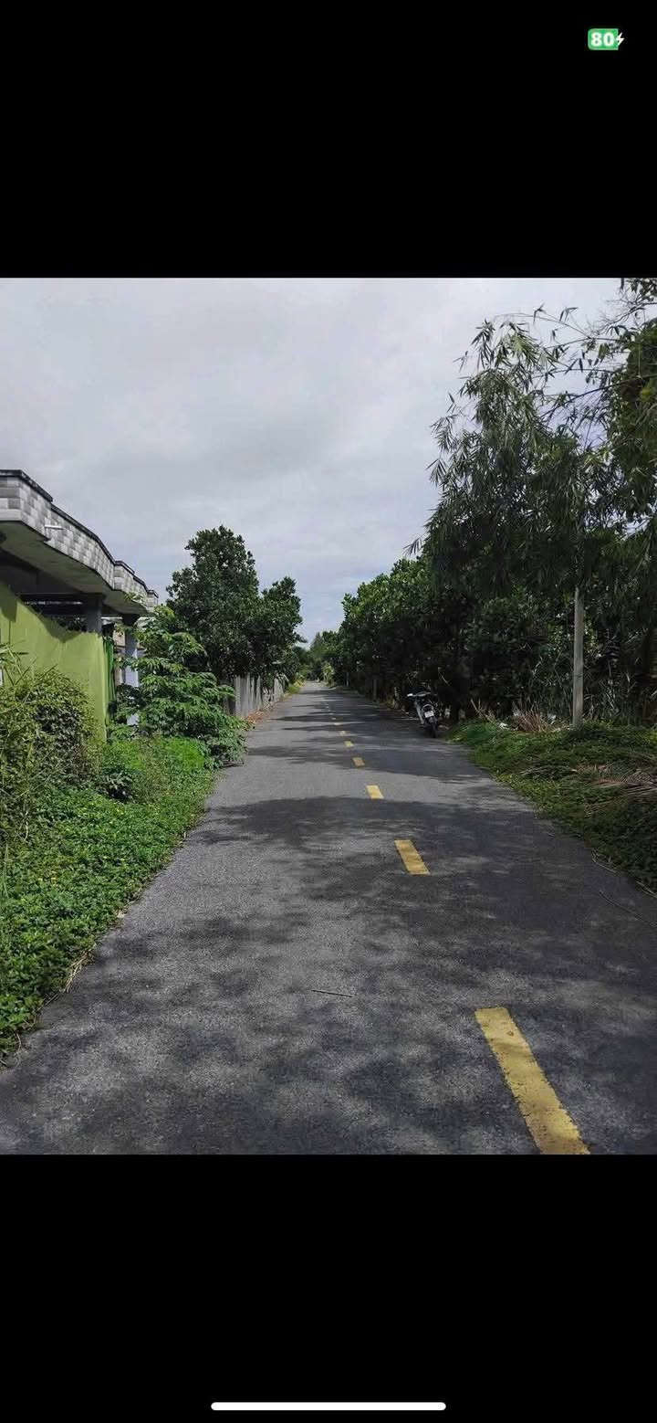 Đất nền Tân Kiều Tháp Mười 870m² giá 800 triệu - Cơ hội đầu tư tuyệt vời!