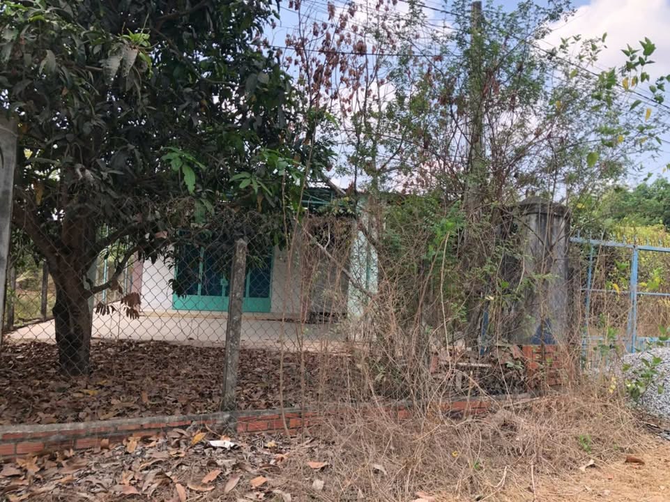 Đất nền Hòa Thành Tây Ninh 1000m² - Sát bên đường Trịnh Phong Đáng, pháp lý rõ ràng