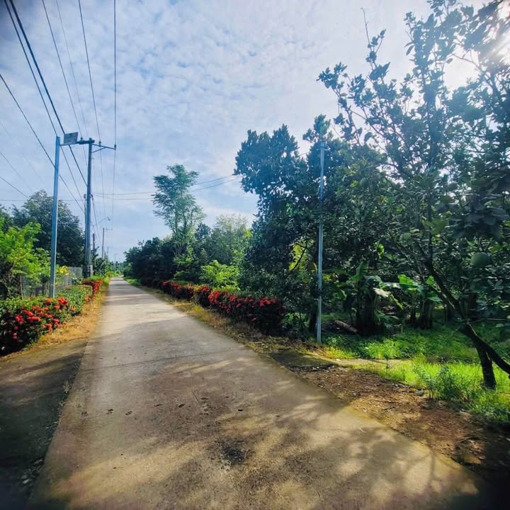Đất 3.5 sào tại xã Tà Lài - Tân Phú giá 1.8 tỷ - Sổ đỏ chính chủ, mặt tiền đường bê tông