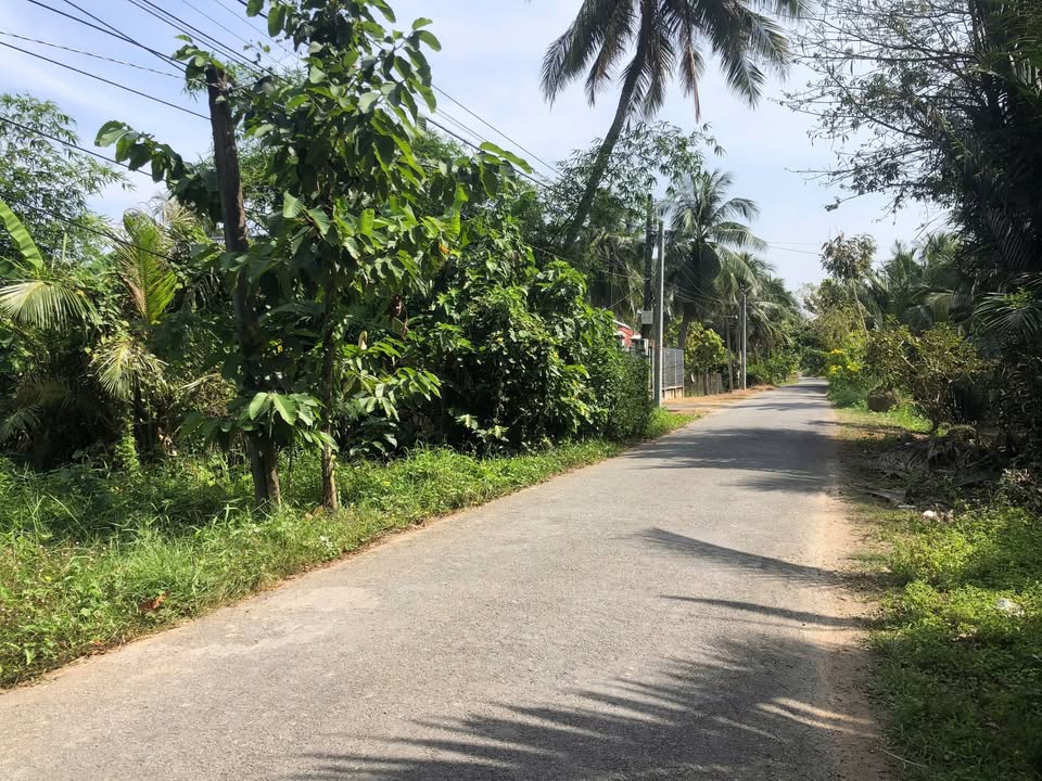 Đất nền mặt tiền đường nhựa Châu Hưng 780m² giá 1.5 tỷ - Đầu tư sinh lời!