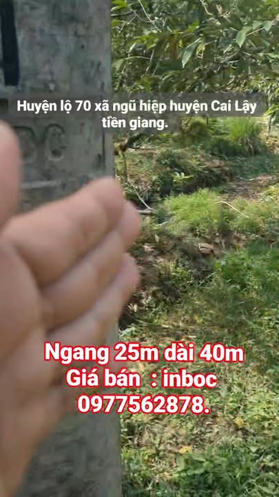 Đất nền xã Ngũ Hiệp, huyện Cai Lậy 1000m² giá 3.25 tỷ - Cơ hội đầu tư tốt!