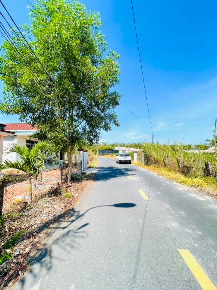 Đất nền An Nhơn Tây, Củ Chi 246m² giá 2.4 tỷ - Sổ hồng chính chủ, xây dựng tự do!