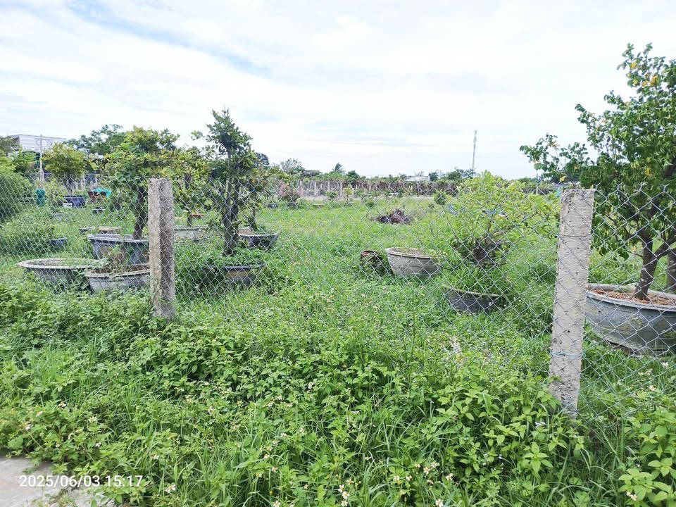 Lô đất nông nghiệp Thôn 3, xã Hàm Liêm 1647m² giá 1.45 tỷ - Đầu tư sinh lời hấp dẫn!