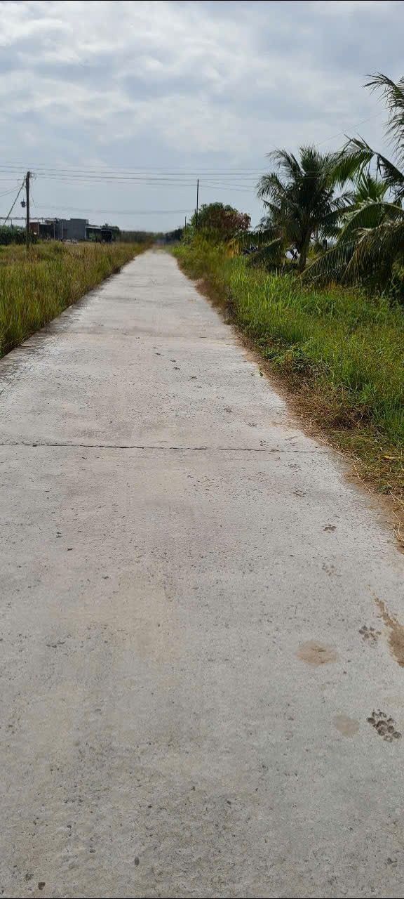 Đất nông nghiệp 743m² tại Hàm Liêm, giá chỉ 570 triệu - Cơ hội đầu tư hấp dẫn!