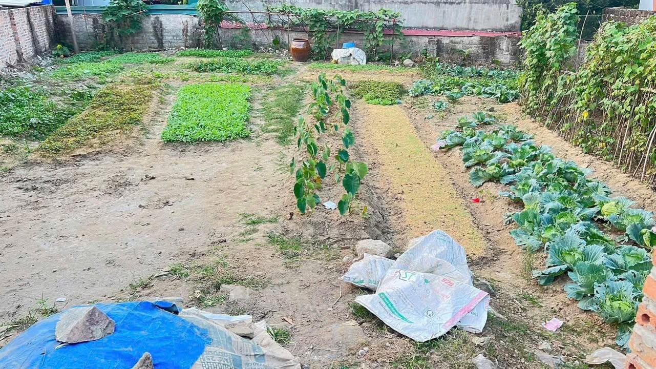 Đất nền Mạo Khê 135m² giá 600 triệu - Tiềm năng đầu tư lớn!