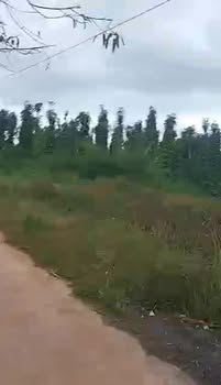 Đất nền Đắk Môl 1170m² giá 1.071 tỷ - Cơ hội đầu tư hấp dẫn!