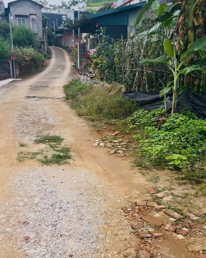 Đất thổ cư An Tường, Tuyên Quang 100m² giá 960 triệu - An ninh tốt, gần bệnh viện!