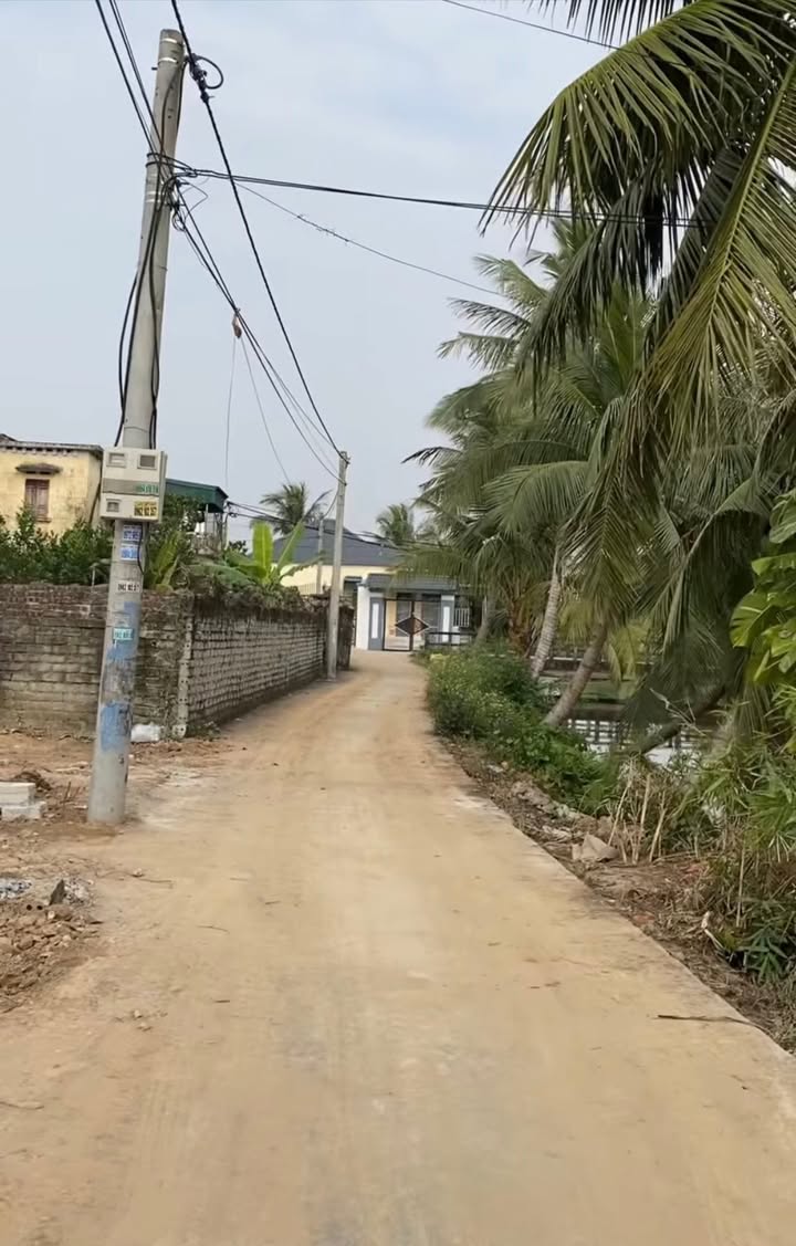 Đất nền Quang Trung, Tứ Kỳ 100m² giá 700 triệu - Cơ hội đầu tư hấp dẫn!