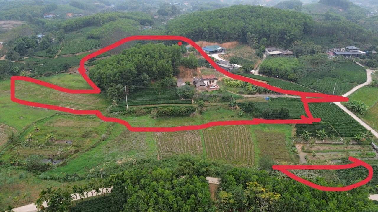 Đất Farm Vô Tranh, Phú Lương 8000m² giá 3 tỷ - Tiềm năng nghỉ dưỡng lý tưởng!