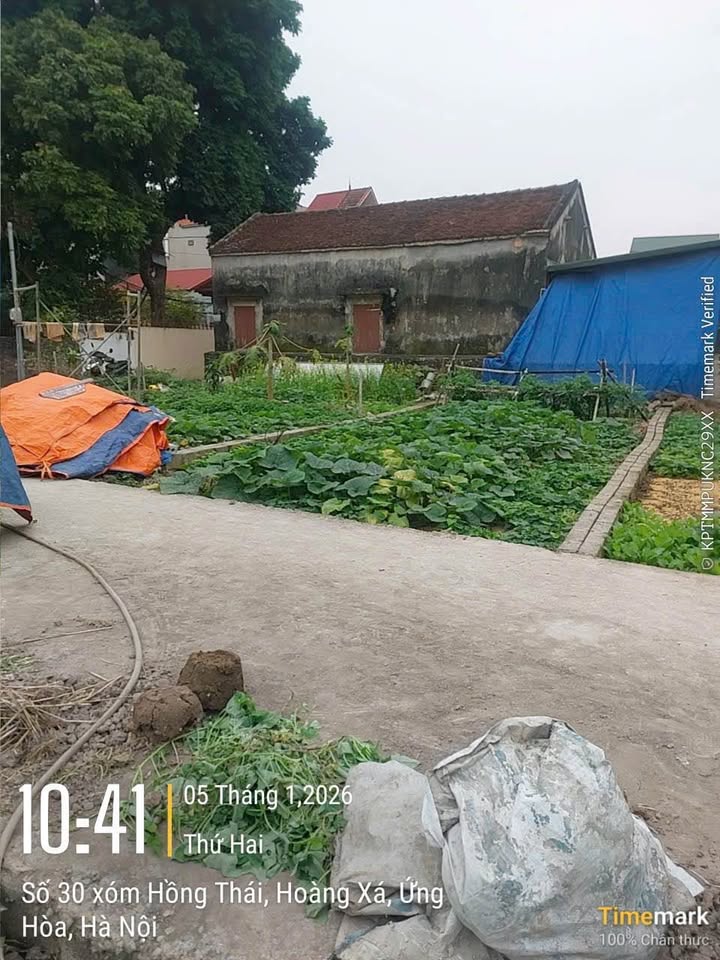 Đất nền Vân Đình 53m² giá chỉ 2 tỷ - Vị trí tiềm năng, ô tô vào tận nơi!