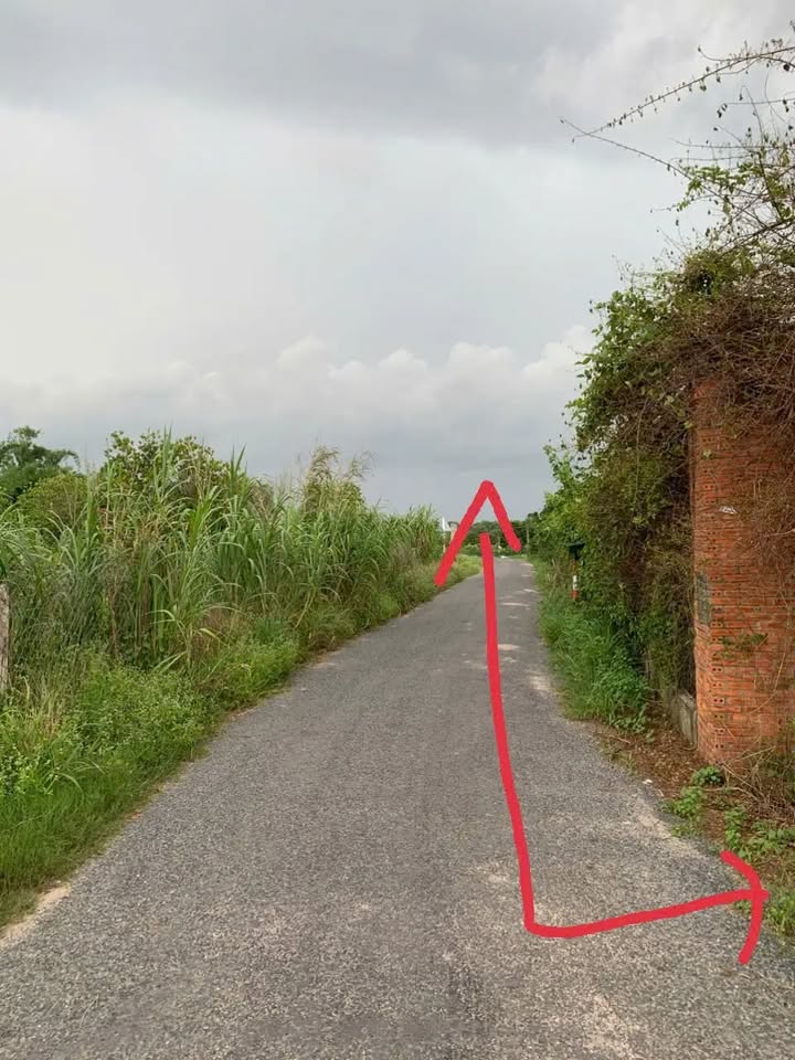 Đất nền 2 mặt tiền khu phố Lộc Trác, Gia Lộc, Tây Ninh 1508m² - Cơ hội đầu tư tuyệt vời!