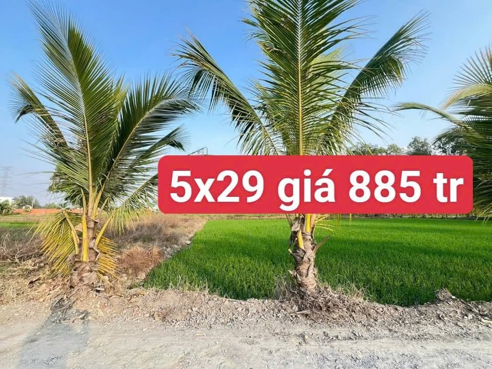 Đất mặt tiền đường Liên xã, xã Hòa Khánh, 145m² giá 885 triệu - Cơ hội đầu tư tuyệt vời!