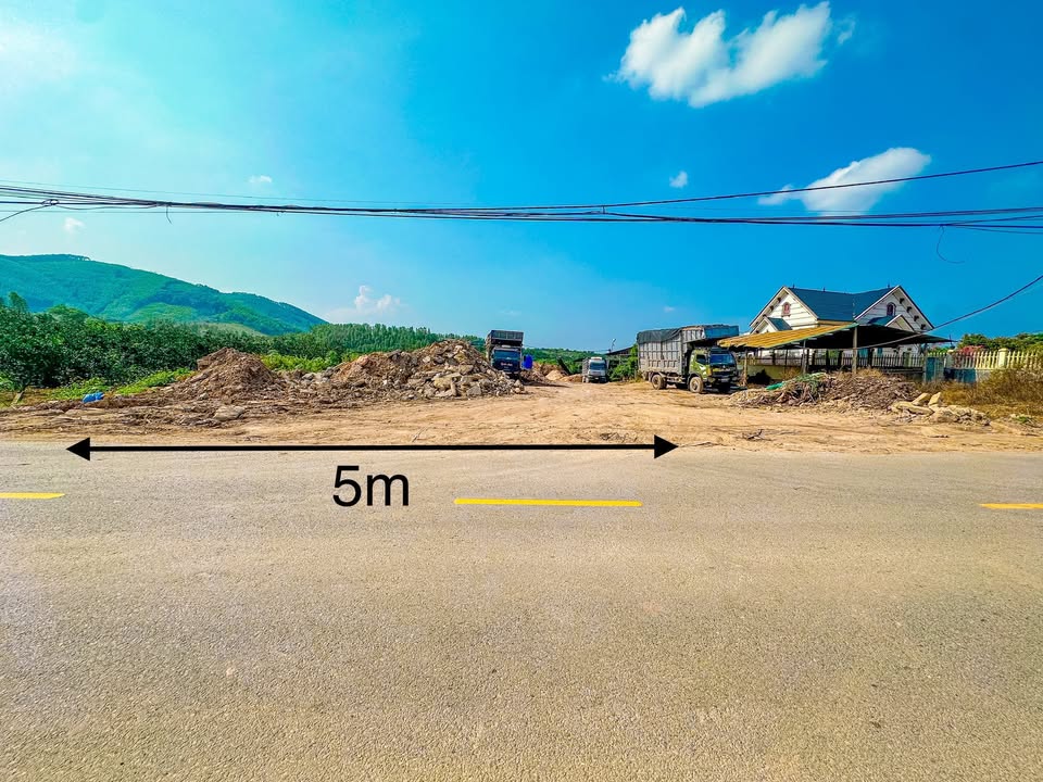 Đất nền Bình Sơn Lục Nam 119,5m² giá 1 tỷ - Cơ hội đầu tư tuyệt vời!