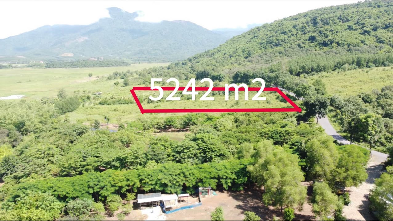 Đất vườn Diên Lâm, Diên Khánh 5242m² - Không gian xanh lý tưởng cho nghỉ dưỡng