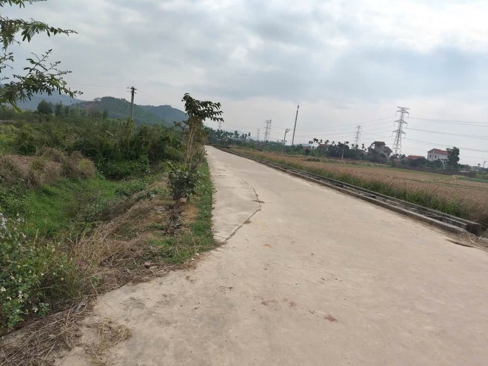 Đất An Sinh, Đông Triều 1131m² giá chỉ 500 triệu - Cơ hội đầu tư hấp dẫn!