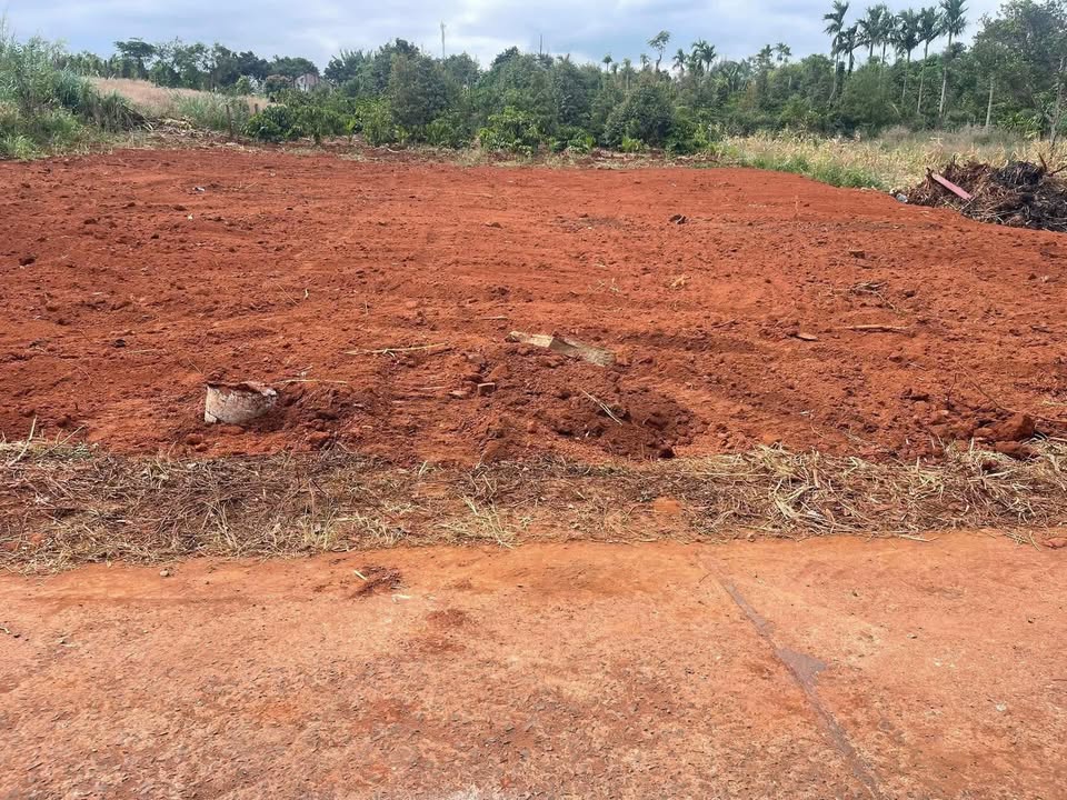 Đất thổ cư thôn 1 Ea Kiết 204m² giá 160 triệu - Đầu tư hấp dẫn ngay bây giờ!