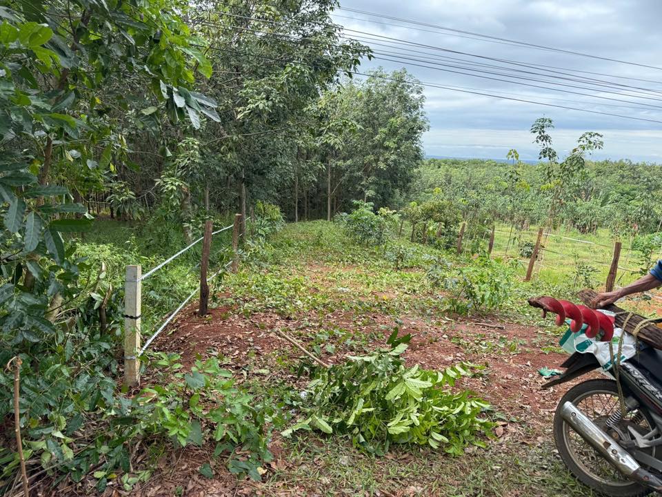 Đất nền An Lộc Bình Long 222m² giá thỏa thuận - Cơ hội đầu tư hiếm có!