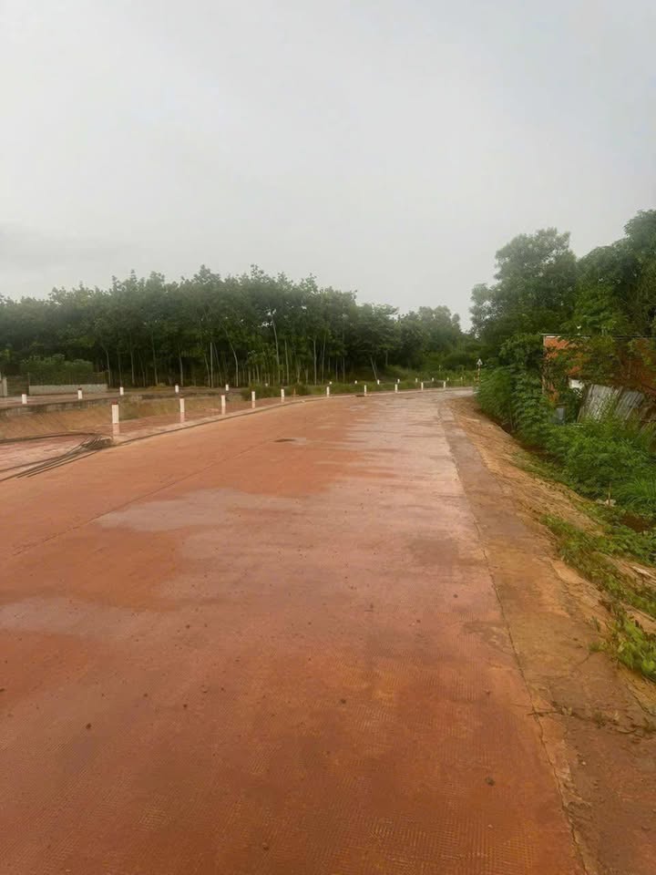 Đất nền mặt tiền bờ kè đường Lê Đại Hành, 6515m², giá chỉ 1.7 tỷ - Cơ hội đầu tư vàng!