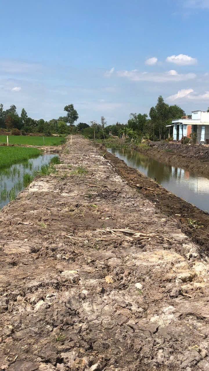 Đất nền 8600m² tại Mỹ Thạnh Bắc, Đức Huệ chỉ 3 tỷ - Cơ hội đầu tư tuyệt vời!