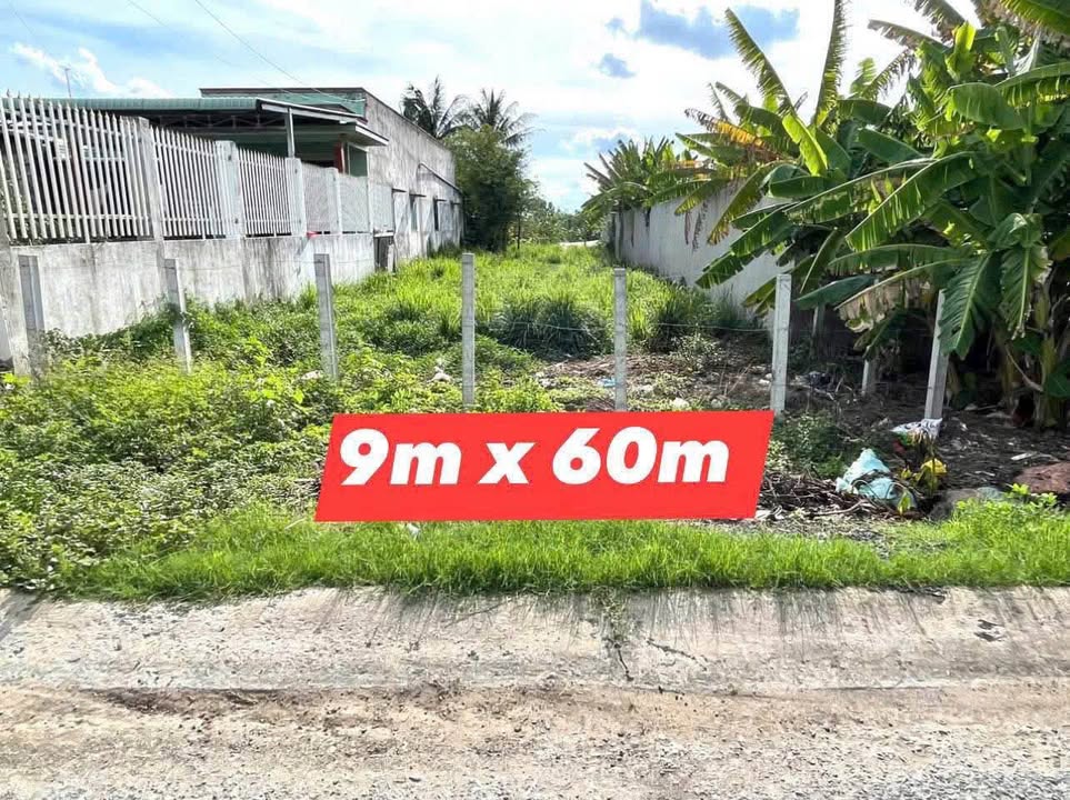 Đất thổ cư mặt tiền ĐT833B, xã Phước Vân, Cần Đước 540m² - Phù hợp kinh doanh và xây dựng kho xưởng!