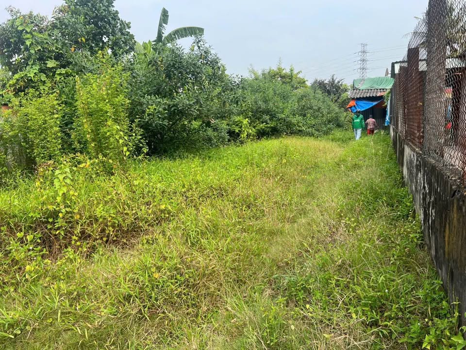 Đất thổ cư Tân An 140m² giá 700 triệu - Cơ hội đầu tư hấp dẫn!