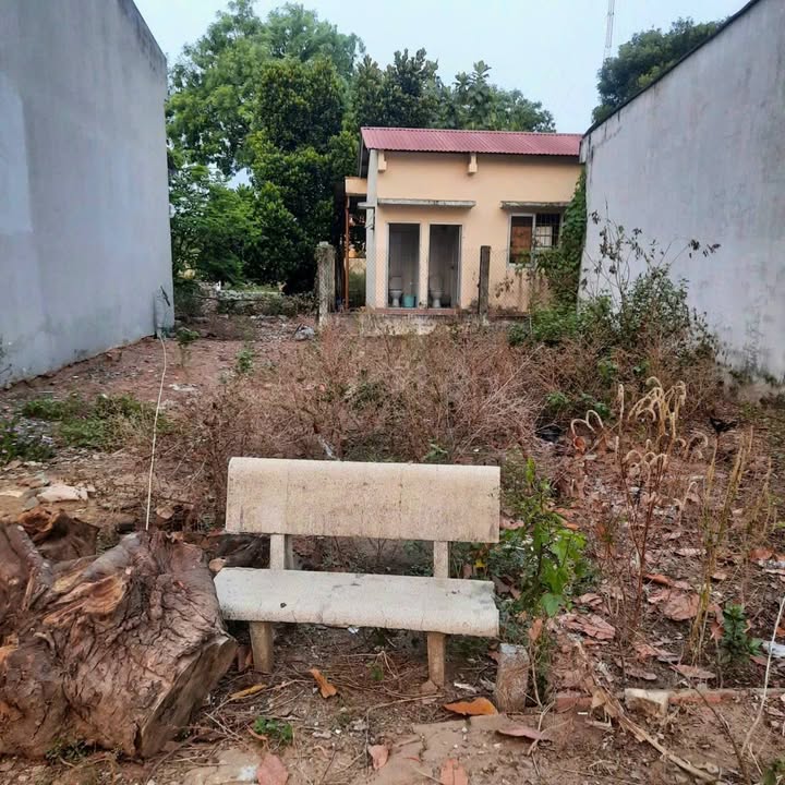 Đất thổ cư Vũng Liêm 61m² giá 850 triệu - Đầu tư sinh lời ngay!