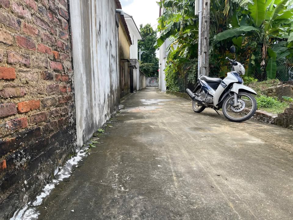 Đất vàng Đan Tảo, Sóc Sơn 95m² giá 2 tỷ - Đầu tư sinh lời hấp dẫn!