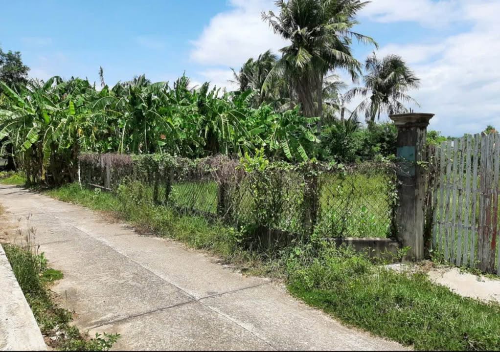 Đất thổ cư 1000m² tại Xã Hàm Đức, Bình Thuận - Giá chỉ 1,3 tỷ có thương lượng!