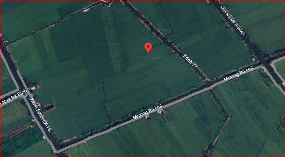Đất Nông Nghiệp Mỹ Hòa 8793m² giá 2.17 tỷ - Vị trí thuận lợi gần Kênh 77!