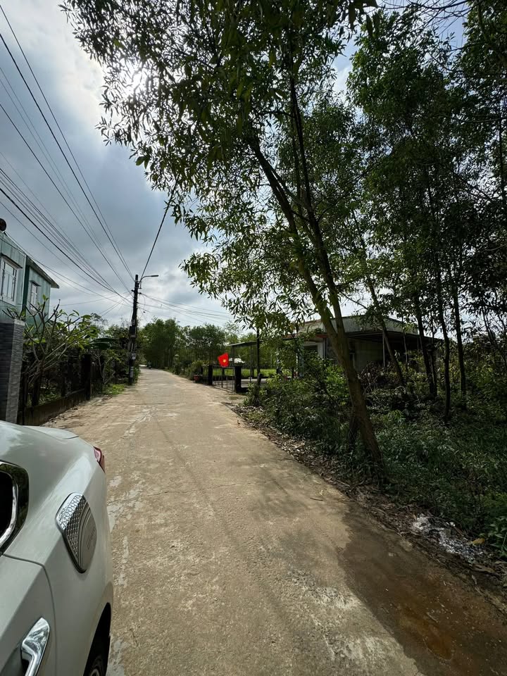 Đất nền Tam Anh Nam Núi Thành 165m² giá 550 triệu - Sổ đỏ chính chủ ngay trung tâm!