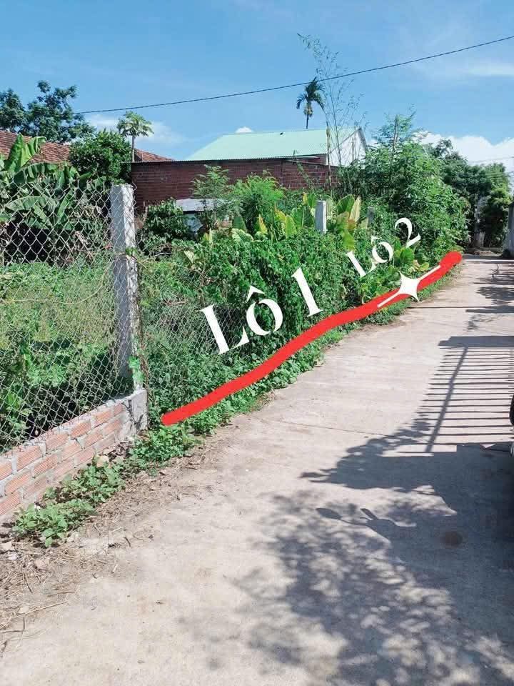 Đất liền kề Hòa Phong, Nhơn Mỹ, An Nhơn - Diện tích 110m² chỉ 300 triệu