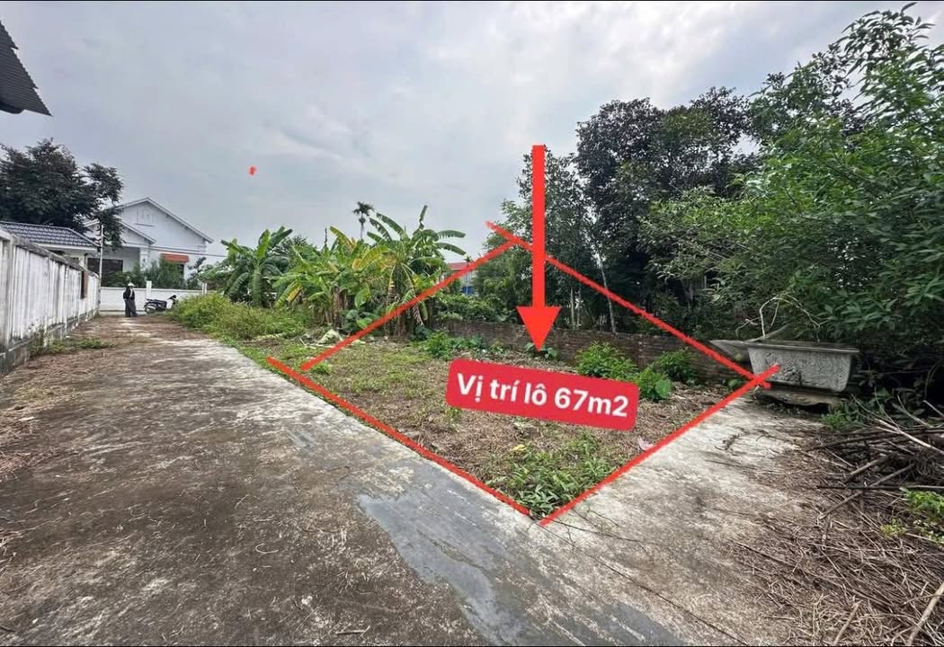 Đất nền Quốc Tuấn Hải Phòng 67m² giá chỉ 900 triệu - Cơ hội đầu tư hiếm có!